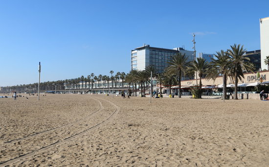 The Somorrostro beach in Barcelona on February 17 2019 (by Aina Martí)
